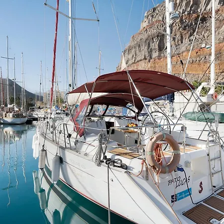 Pato Lucas Sail Boat