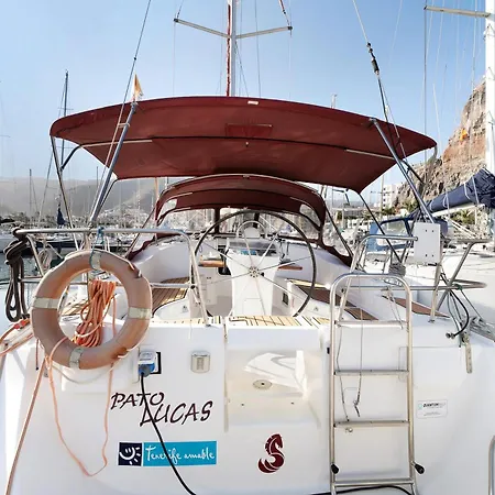 Pato Lucas Sail Boat *